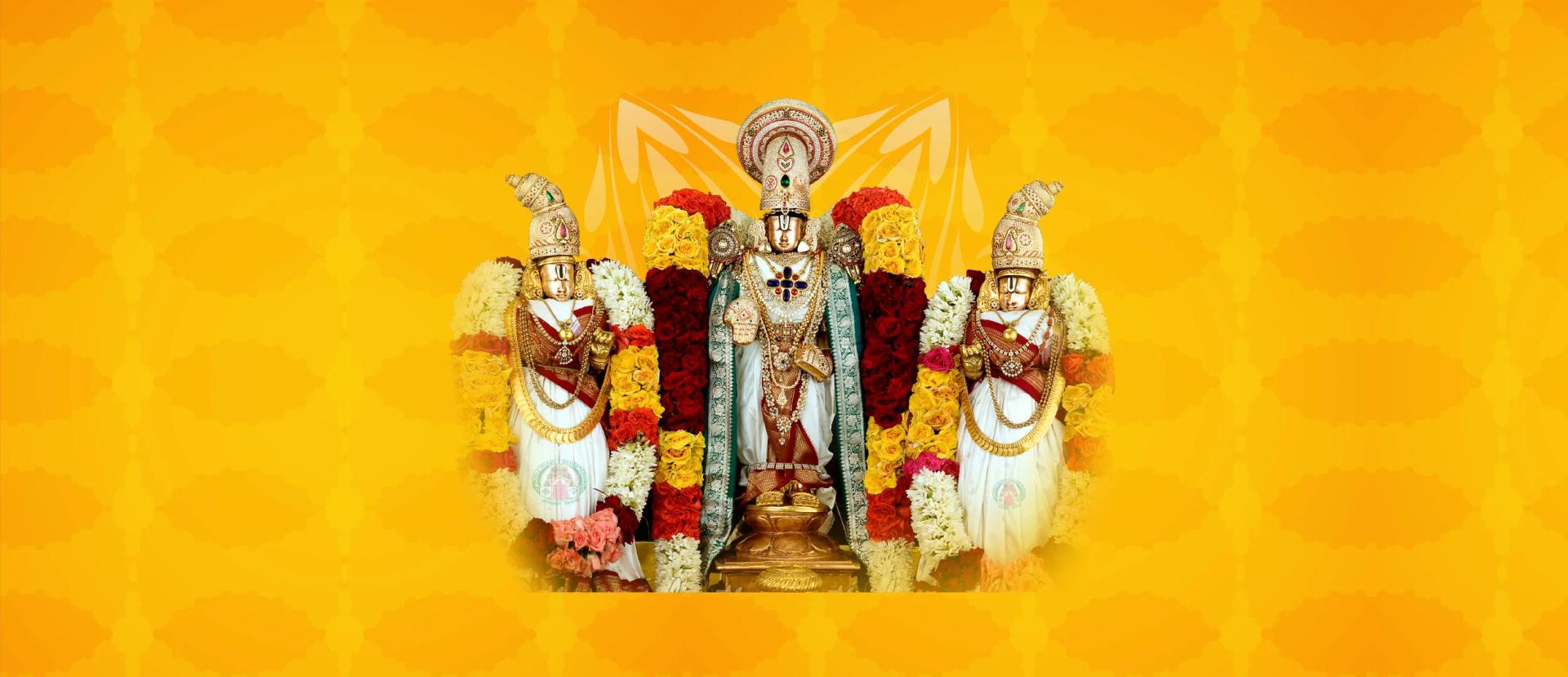 తానా న్యూయార్క్ టీమ్  ఆధ్వర్యంలో  ఘనంగా శ్రీ శ్రీనివాస కల్యాణం