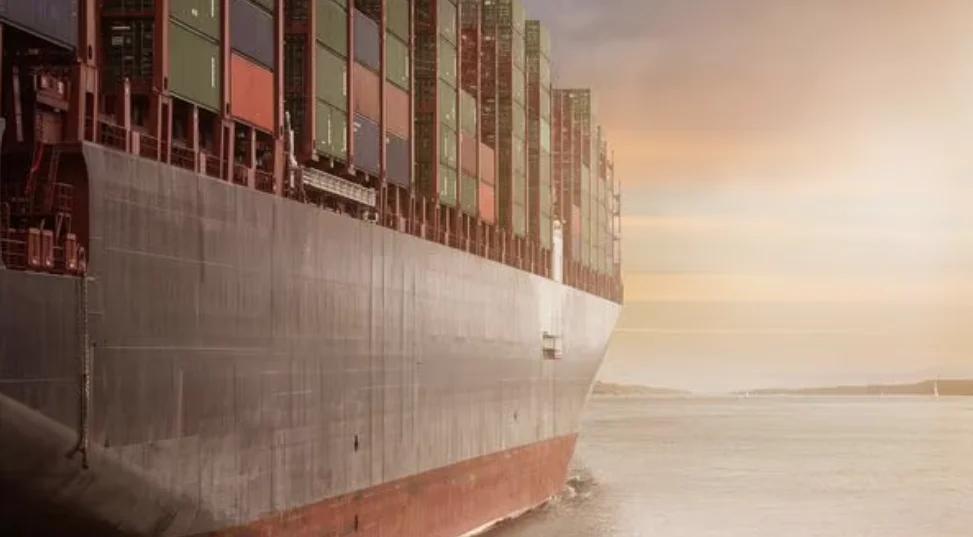 Panama-Flagged Cargo Ship Sinks 240 Nautical Miles Off Odisha's Paradip Coast
