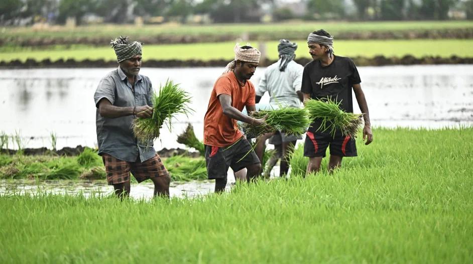 Farmer ID to Be Mandatory for Government Procurement in Andhra Pradesh