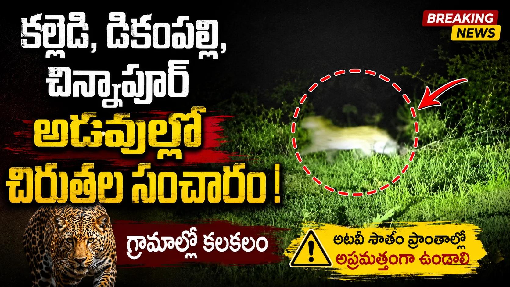 కల్లెడి, డికంపల్లి, చిన్నాపూర్ అడవుల్లో చిరుతల సంచారం
