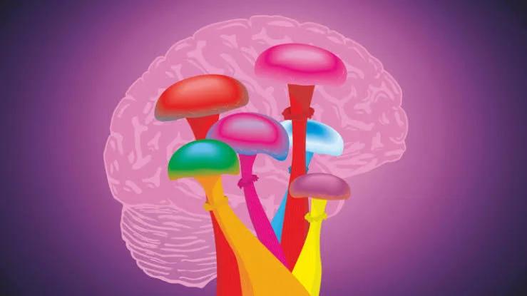 U.S. Study Looks at Psilocybin to Protect Nerves During Chemotherapy