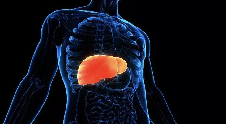 Fatty Liver and Colorectal Cancer on the Rise in India? Experts Stress Early Detection