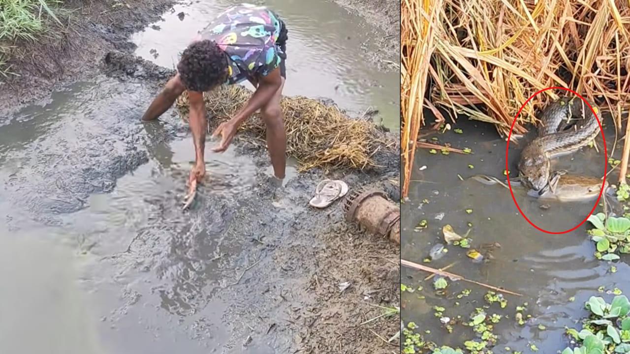 చేపల కోసమని గెట్టు కట్టి నీటిని తోడుతున్నారు.. ఇంతలో అనూహ్య ఘటన..