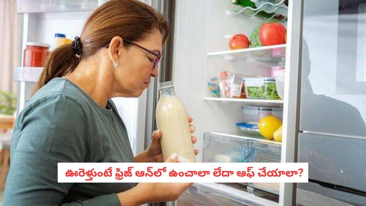 Fridge Tips: ఊరెళ్తున్నారా?.. వెళ్లేముందు ఫ్రిజ్ ఆన్‌లో ఉంచాలా? ఆఫ్ చేయాలా?