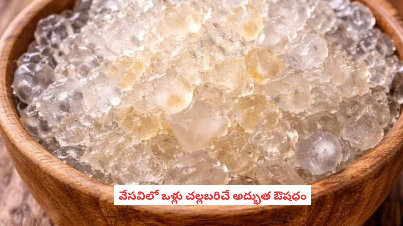 Summer Health: ఈ సమ్మర్‌లో కష్టపడకుండా బరువు తగ్గాలంటే.. దీన్ని మించిందే లేదు.. రాసి పెట్టుకోండి