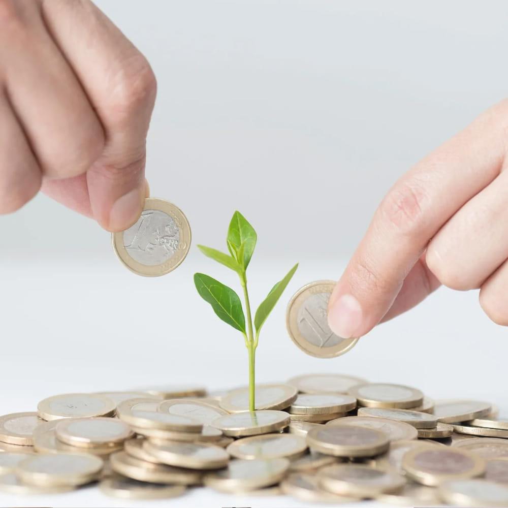 Money Making Tips: డబ్బుతో డబ్బు సంపాదించడం నేర్చుకోండి.. ఇవి పాటిస్తే లైఫ్ లాంగ్ హ్యాపీనే