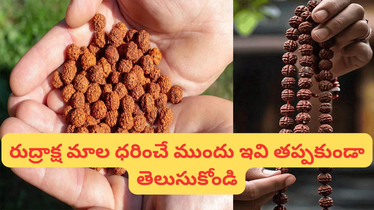 Rudraksha Mala: రుద్రాక్ష మాల ధరించే రహస్య నియమాలు.. 90% మందికి తెలియనివి!