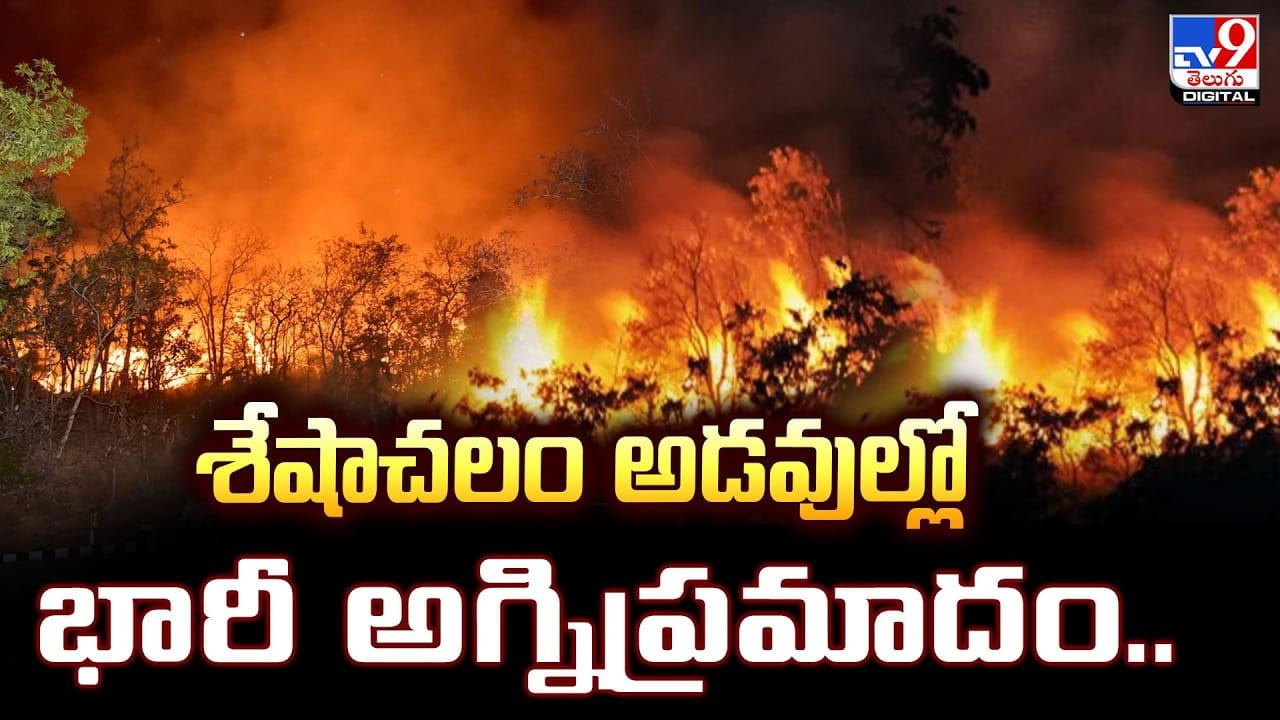 Seshachalam Forest: శేషాచలం అడవుల్లో భారీ అగ్నిప్రమాదం..