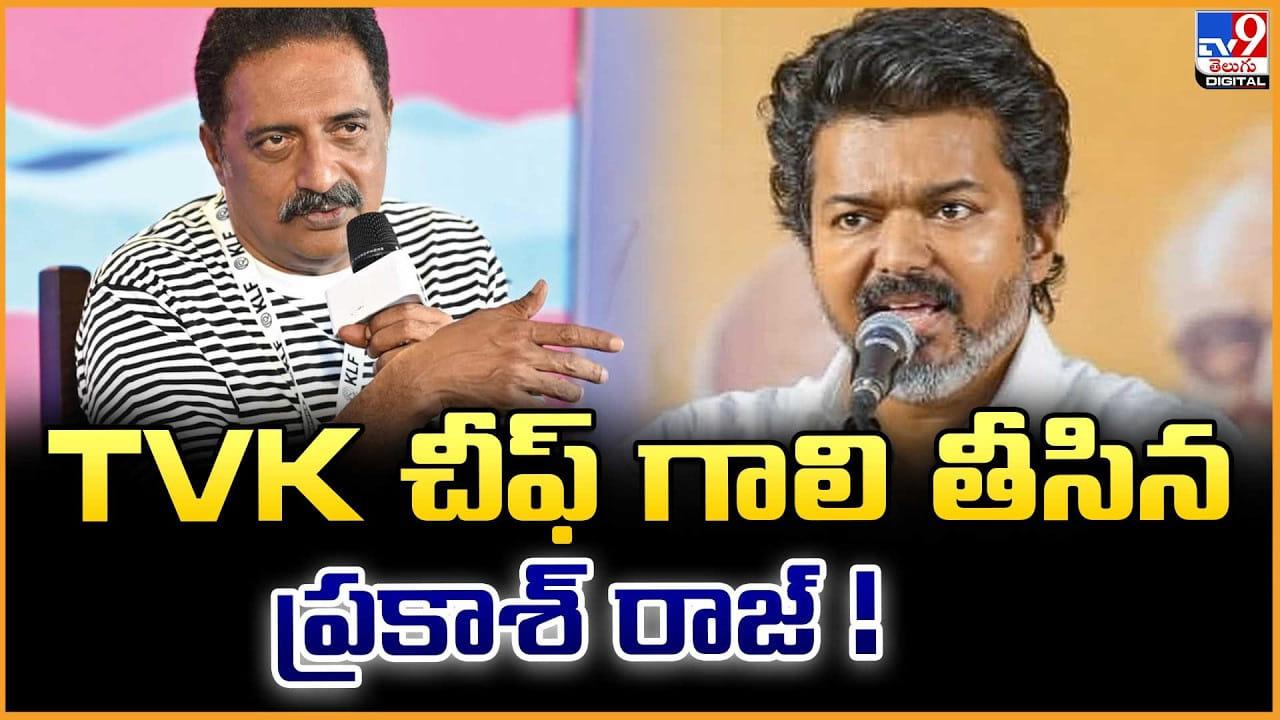Prakash Raj Vs Vijay: TVK చీఫ్ గాలి తీసిన ప్రకాశ్ రాజ్