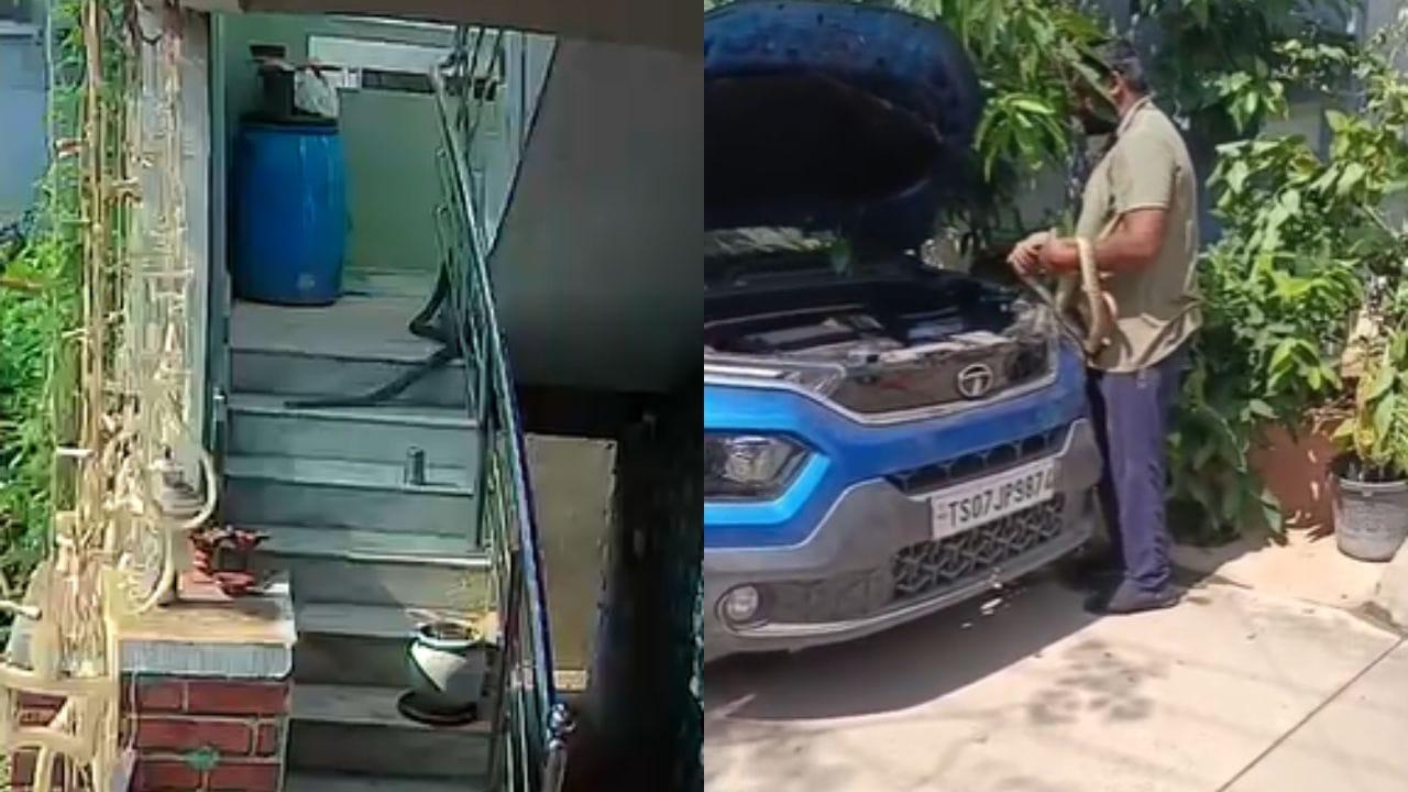 Watch Video: గేటు ఎక్కి.. మెట్లెక్కి ఇల్లంత తిరిగిన పాము.. చివరకు ఏం చేసిందో చూడండి