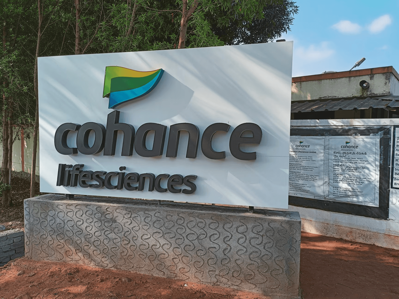 10 well-known stocks down up to 70% in a year amid FII selloff. Do you own any?