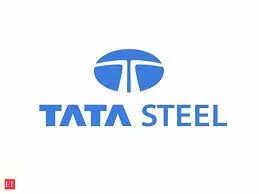 Tata Steel Share Price Live Updates: Tata Steel's market behavior analyzed through beta