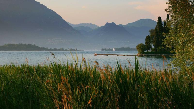 కొత్త “ఆసరా” ఎప్పుడో.?