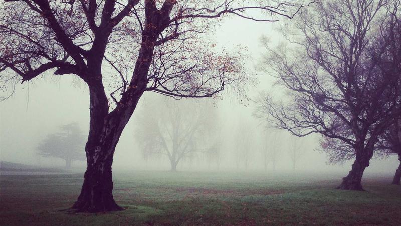 అమానవీయ ఘటనపై మేయర్‌ సీరియస్‌