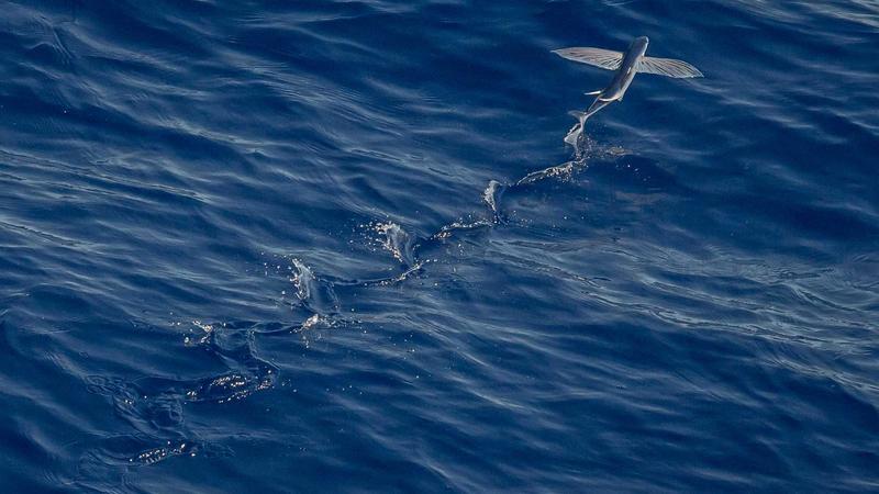 Approve Maternity Leave For Third Pregnancy: HC To Tamil Nadu Govt