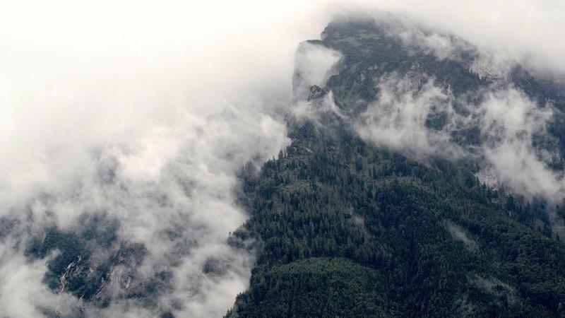 CMs Won’t Help BJP Win: Mamata