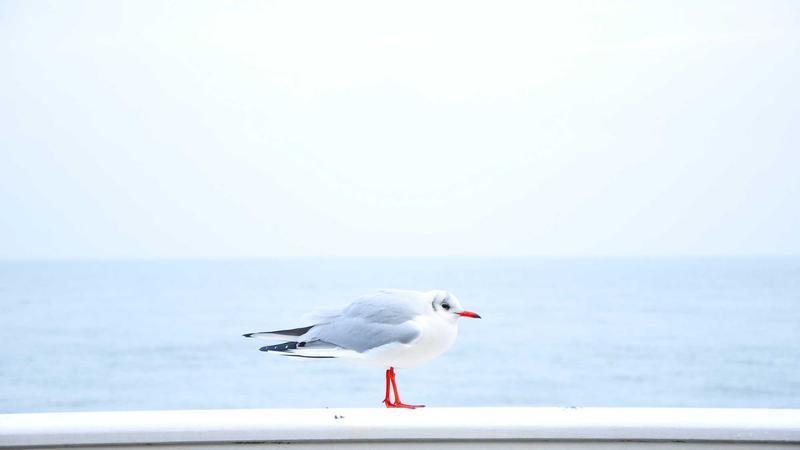 EC Says EVMs are Secure in Strongrooms, Rejects TMC’s Claims