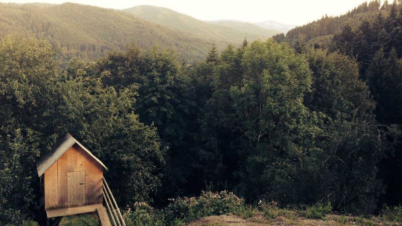 Eminent Scholar And  Head Of Sree Narayana Gurukula Swami Muni Narayana Prasad Passes Away