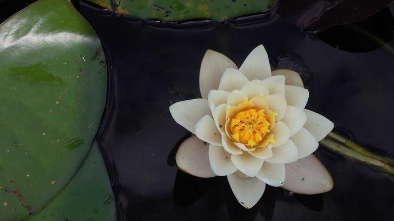 Gurugram Police Demolish Illegal Property of Criminal