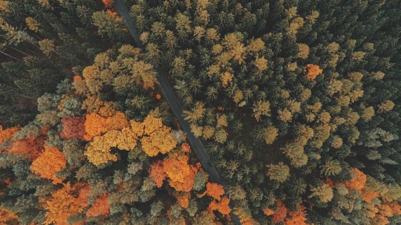 ICSE, ISC Results To Be Declared Thursday