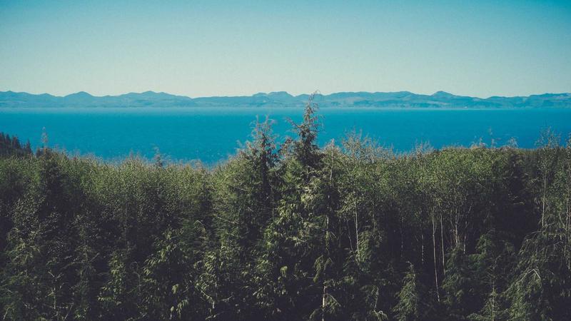 KSDL Registers Rs 507 Crore Profit