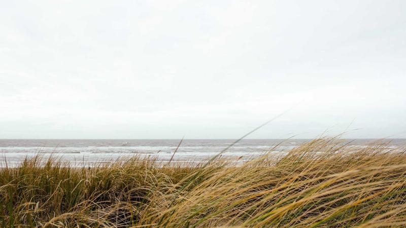 LIVE: Trump Confirms US, Iran Traded Fire in Hormuz