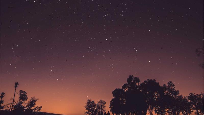 మళ్లీ మొదలైన అక్రమ ఇసుక దందా