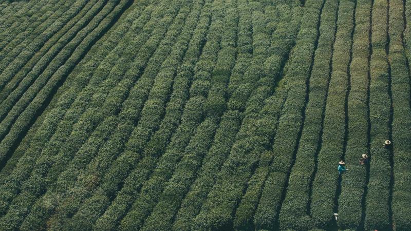 మ‌నసు మీదా యుద్ధ భ‌యం