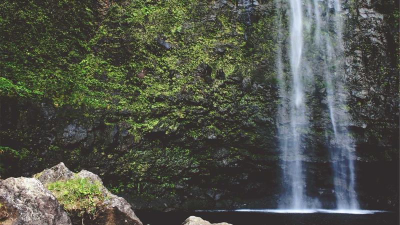 Modi Condemns Shooting at White House Correspondents' Dinner