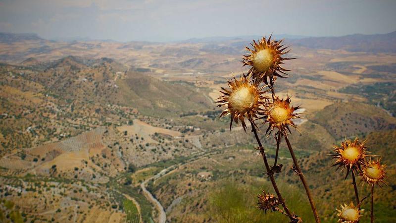 MP/ CM Yadav Moves Resolution Supporting 33 Percent Reservation For Women In Parliament, Assemblies, In House