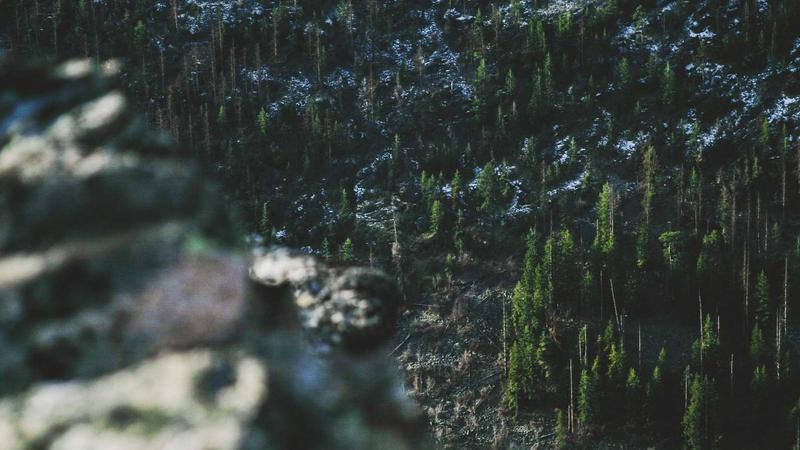 పదిలో టాప్ విద్యార్థులకు సత్కారం