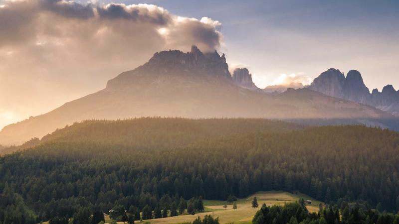 SC Steps into Brain Death Debate; AIIMS Panel to Review Certification Standards