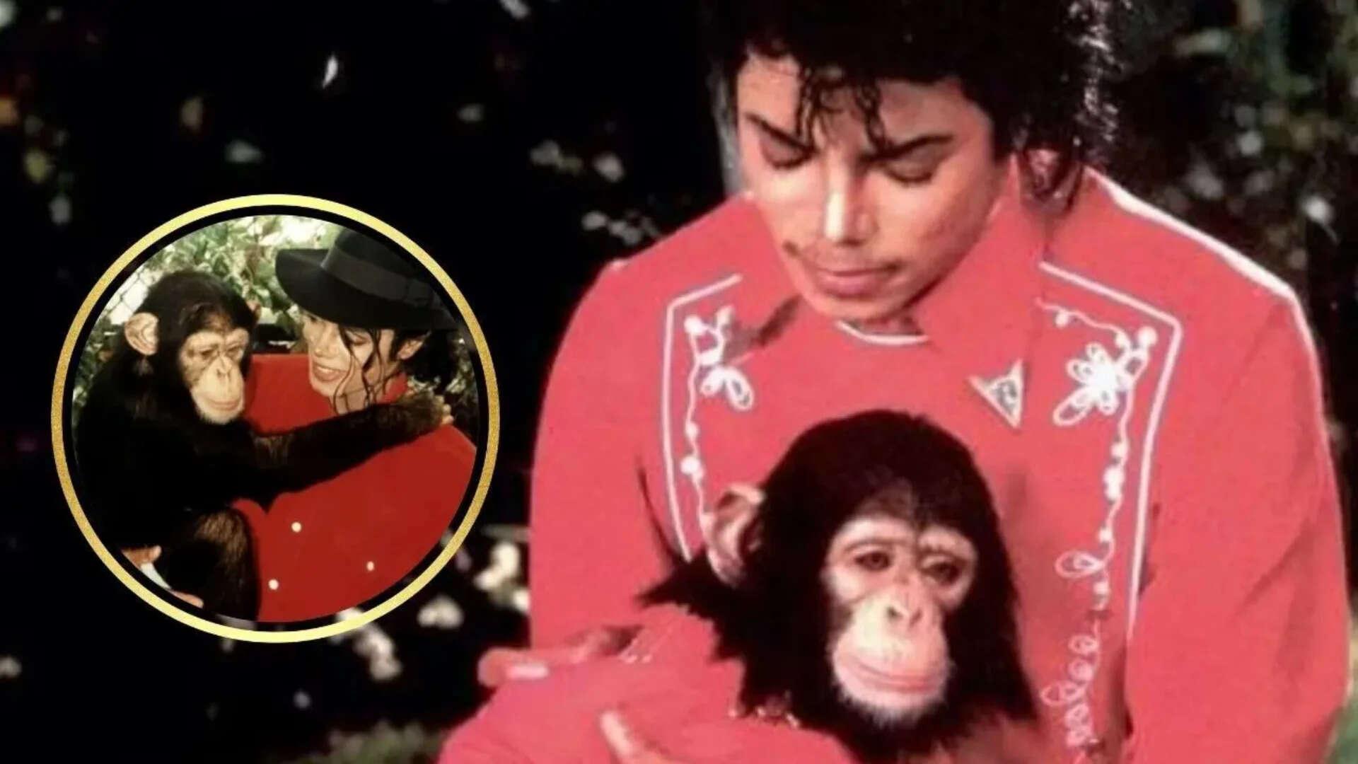 Michael Jackson and his Chimpanzee Bubbles
