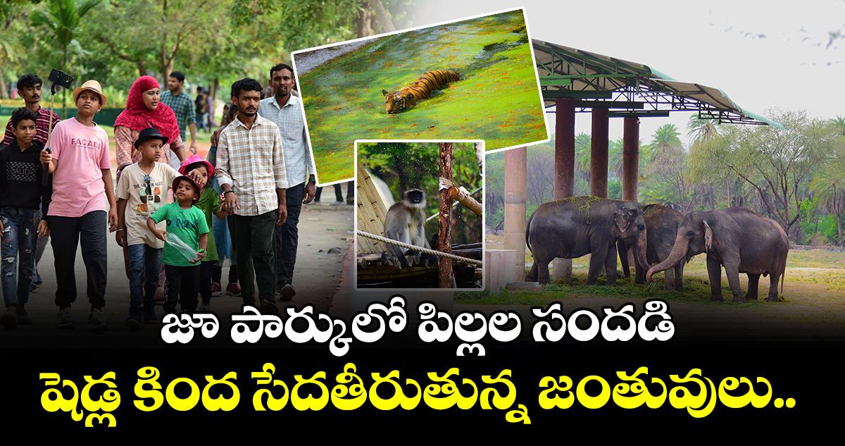 ఫొటో ఫీచర్ : జూ పార్కులో పిల్లల సందడి : షెడ్ల కింద సేదతీరుతున్న జంతువులు..