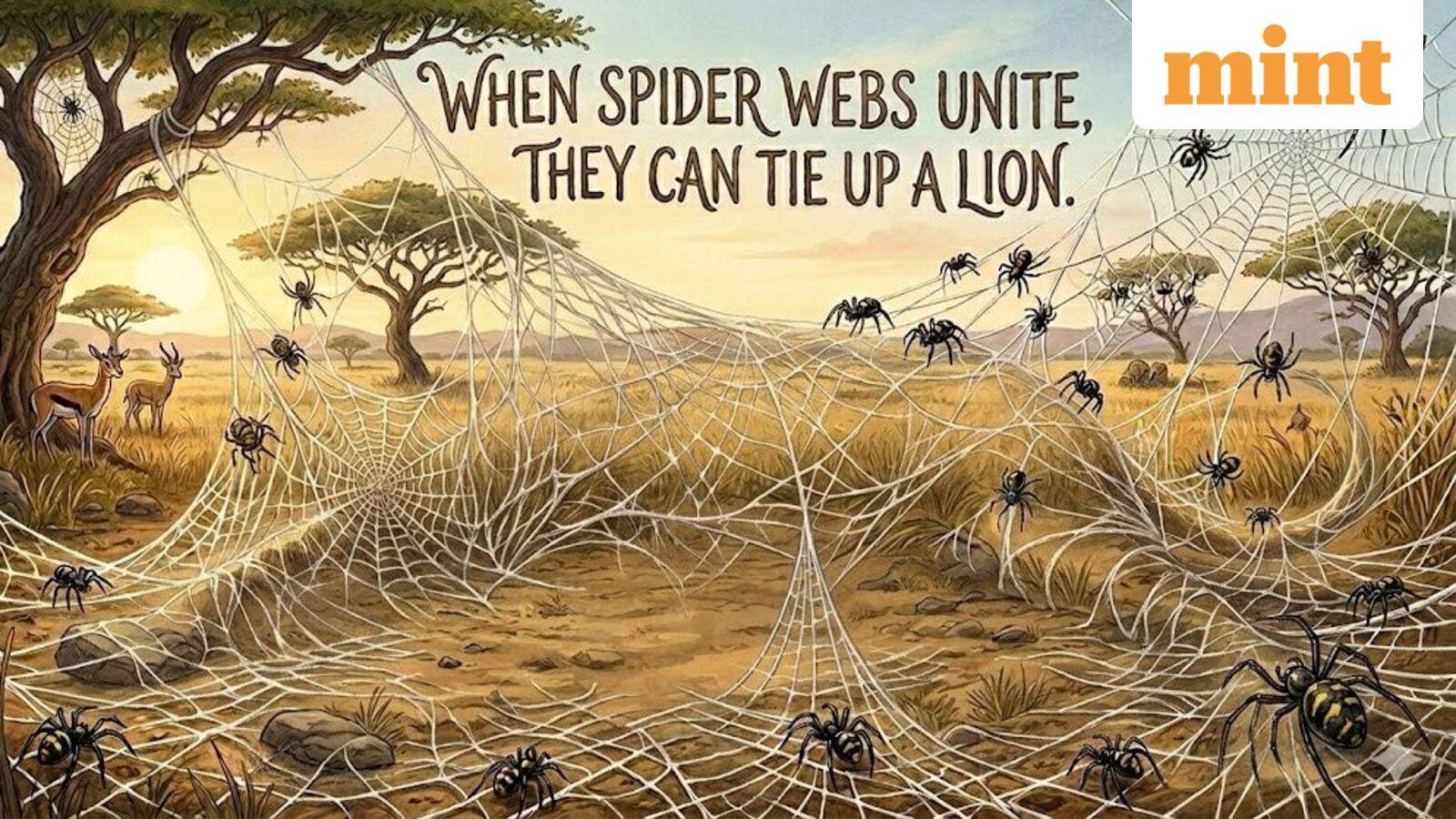 African Proverb of the Day: ‘When spider webs unite, they can tie up a lion’