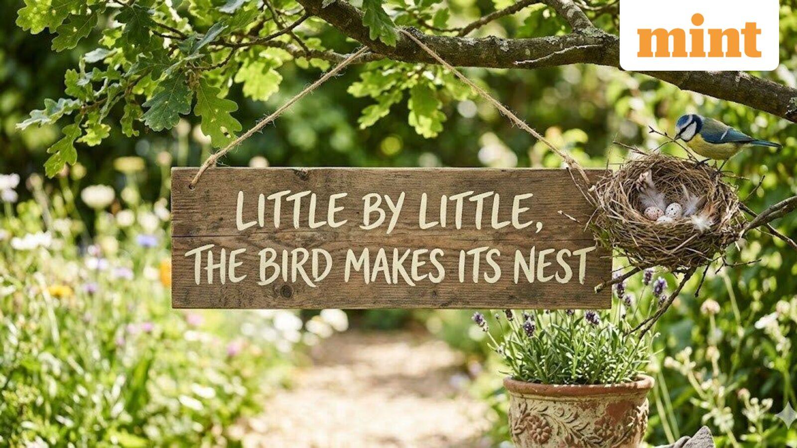 French Proverb of the Day on consistency: ‘Little by little, the bird makes its nest’