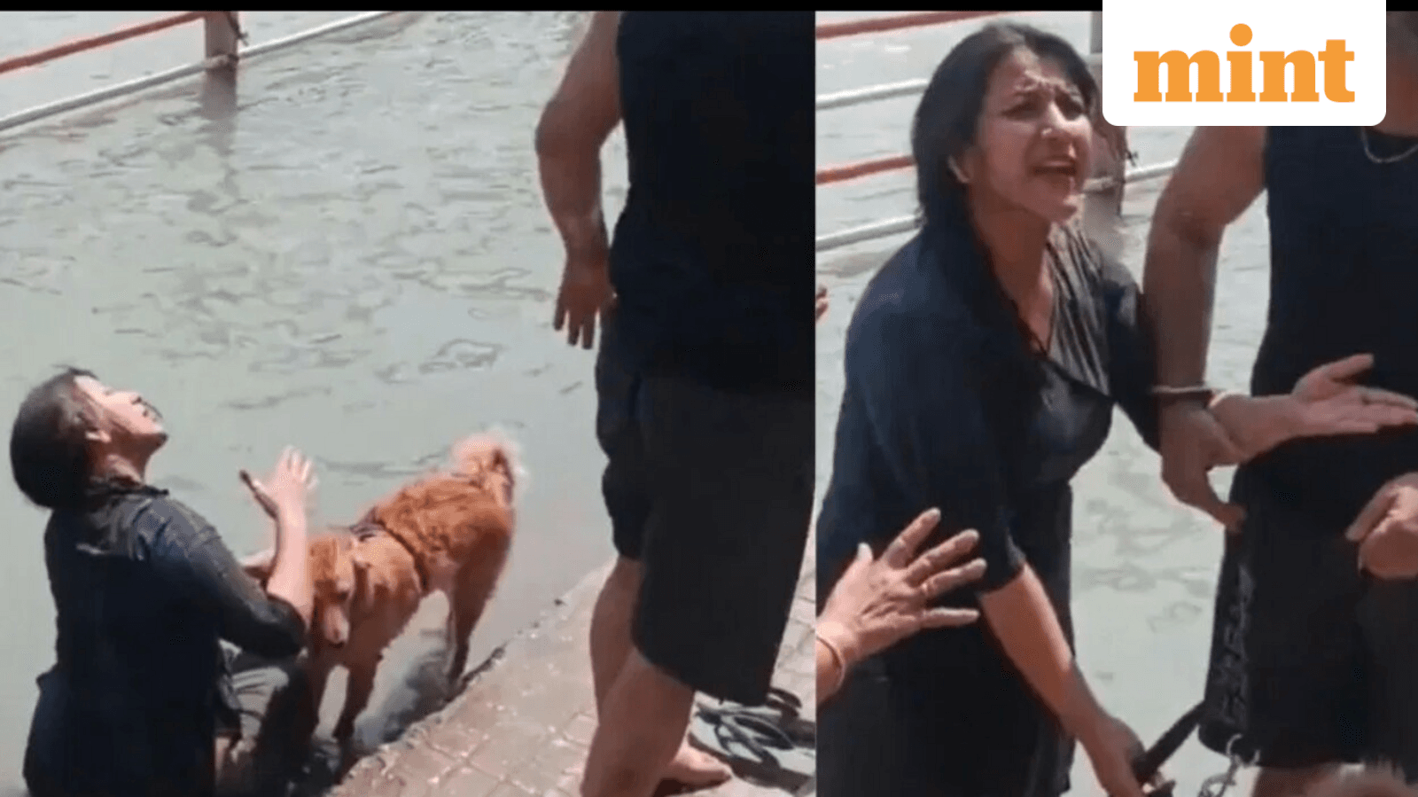 Woman bathes pet dog in Haridwar, viral video sparks outrage: ‘Ghat par insan nahenge ya yeh?’