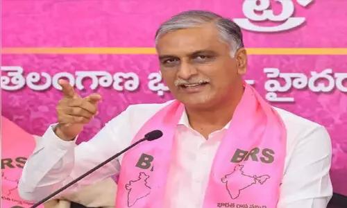 హ్యామ్.. నిండా స్కామ్!