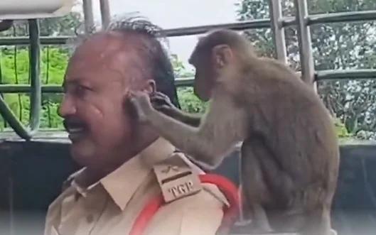 పోలీసులతో కోతి సరదా ఆట!