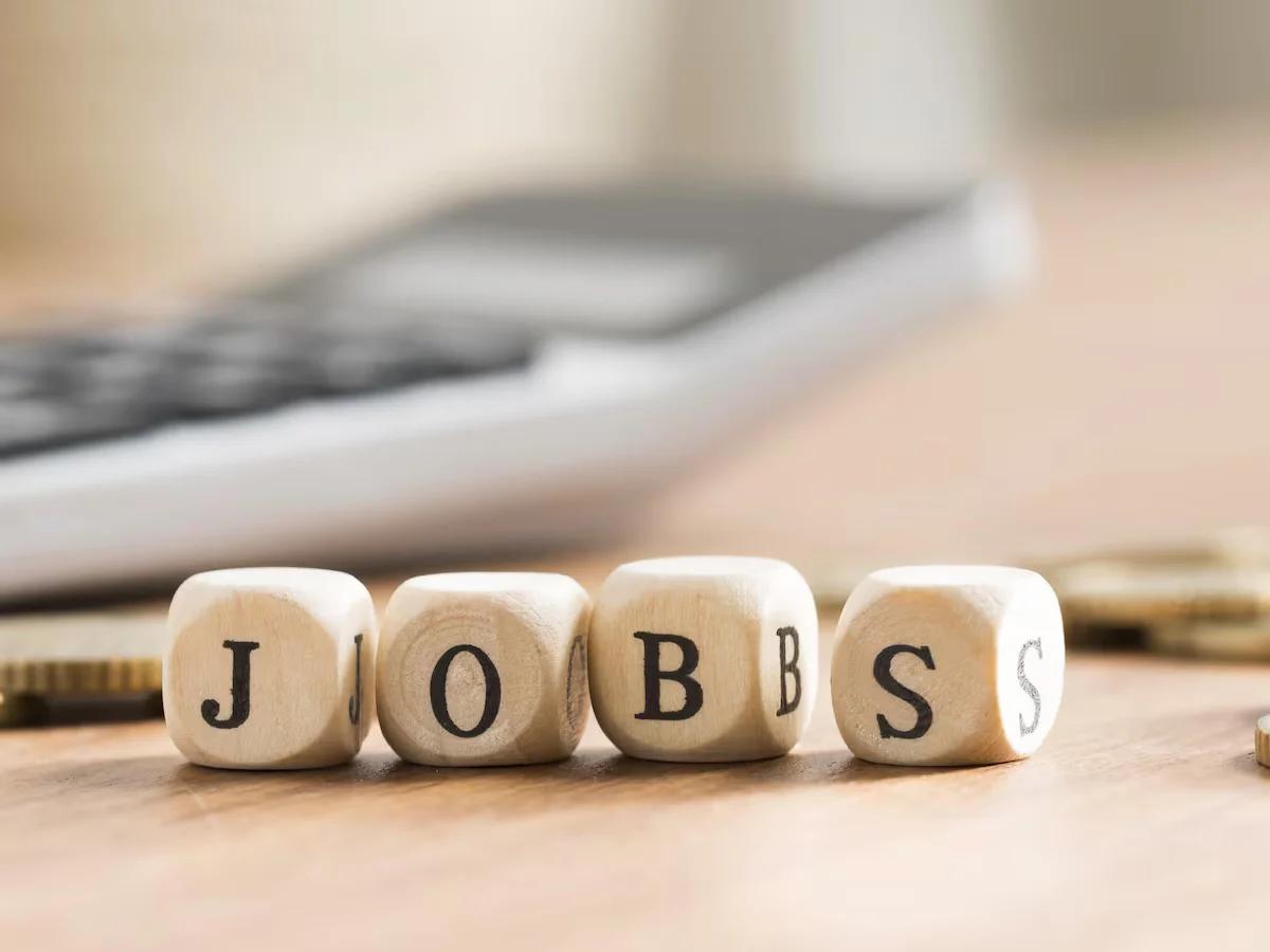 U.S. Job Openings Rise to 7.3 Million as Labor Market Remains Steady