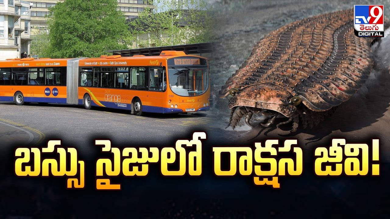 డైనోసార్ల కంటే ముందే పుట్టి ఇప్పటికీ బతుకుతున్న 5 జీవులు