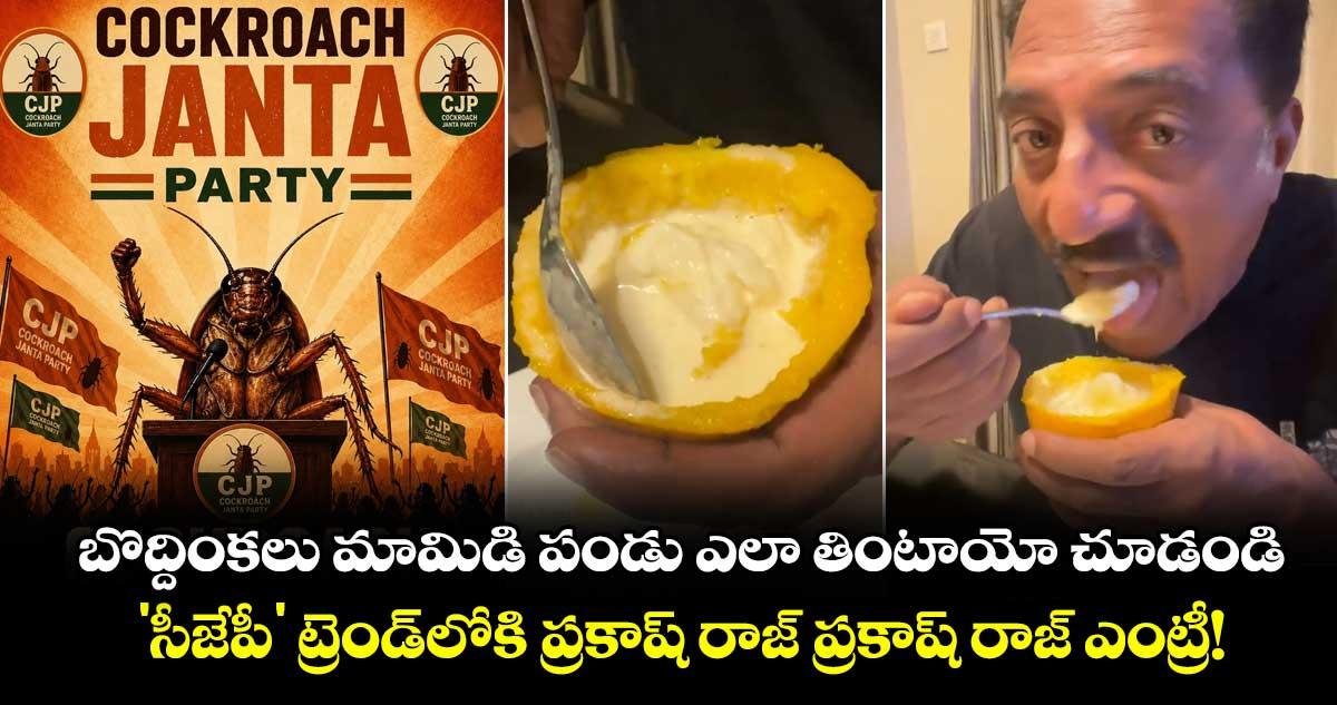 బొద్దింకలు మామిడి పండు ఎలా తింటాయో చూడండి.. 'సీజేపీ' ట్రెండ్లోకి ప్రకాష్ రాజ్ ప్రకాష్ రాజ్ ఎంట్రీ!