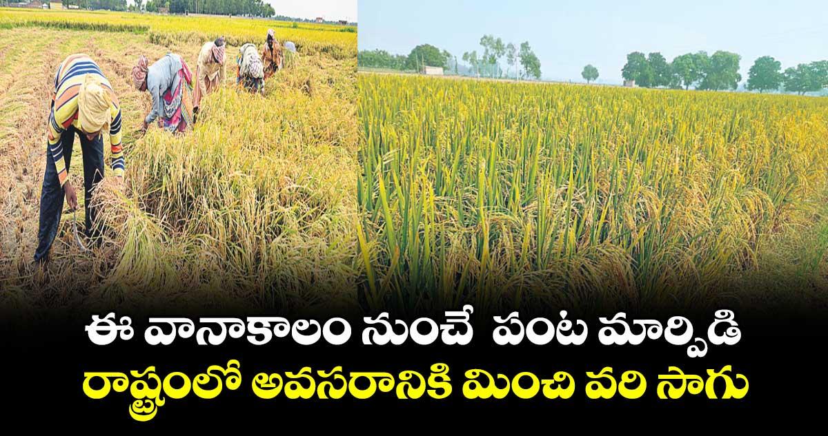 ఈ వానాకాలం నుంచే పంట మార్పిడి.. రాష్ట్రంలో అవసరానికి మించి వరి సాగు