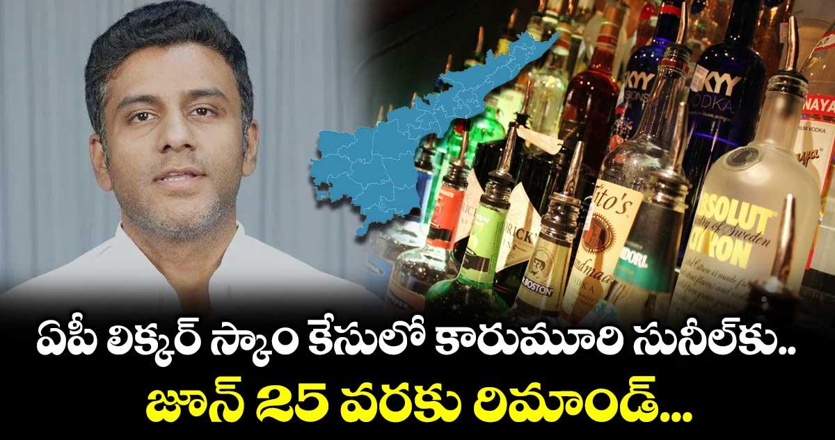 ఏపీ లిక్కర్ స్కాం కేసులో కారుమూరి సునీల్ కు జూన్ 25 వరకు రిమాండ్...