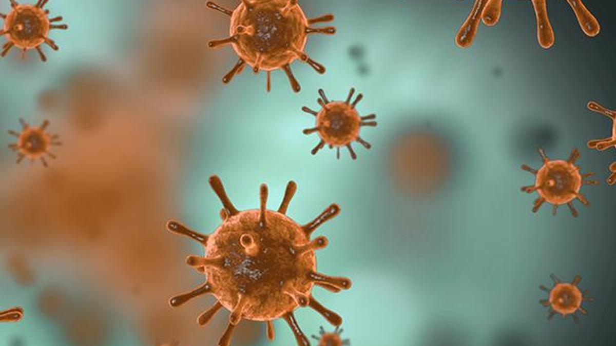No evidence of highly virulent COVID-19 variant in T.N., says Health department
