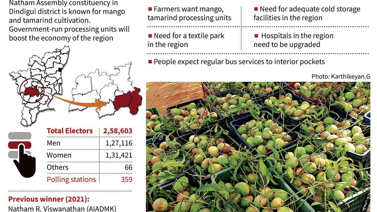 T.N. Assembly election 2026: Farmers of Natham constituency ask for government mango processing unit