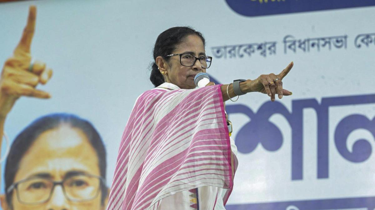 Amid speculation of I-PAC suspending Bengal operations, Mamata says will engage its members in her party