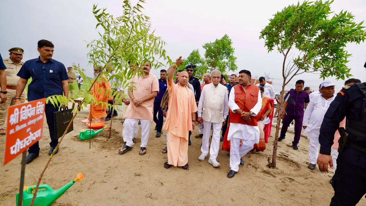 Adityanath flags environmental concerns, launches 35-crore sapling drive