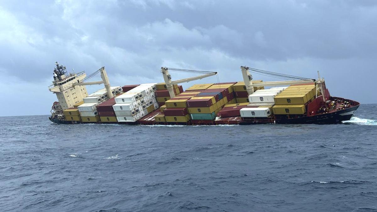 MSC Elsa 3 shipwreck off Kerala: Union Ministry tells NGT that Tamil Nadu seeks ₹1,041.8-crore compensation for pollution impact