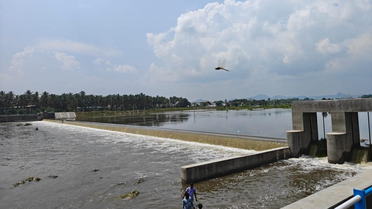 T.N. Assembly Election 2026: Delay in proposed textile park sparks concern among residents of Gudiyatham constituency